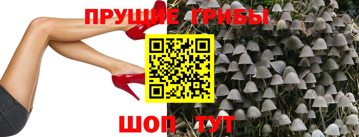 Псилоцибиновые грибы мухоморы  Галлюциногенные грибы Psilocybine cubensis  Вход с VPN  купить наркотик  Ефремов 