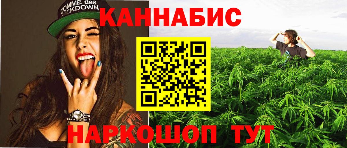 Канабис планчик  Вход с VPN  Ефремов  Канабис планчик  Марихуана индика 